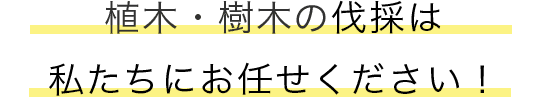 庭木・植木の剪定・刈込は 私たちにお任せください！